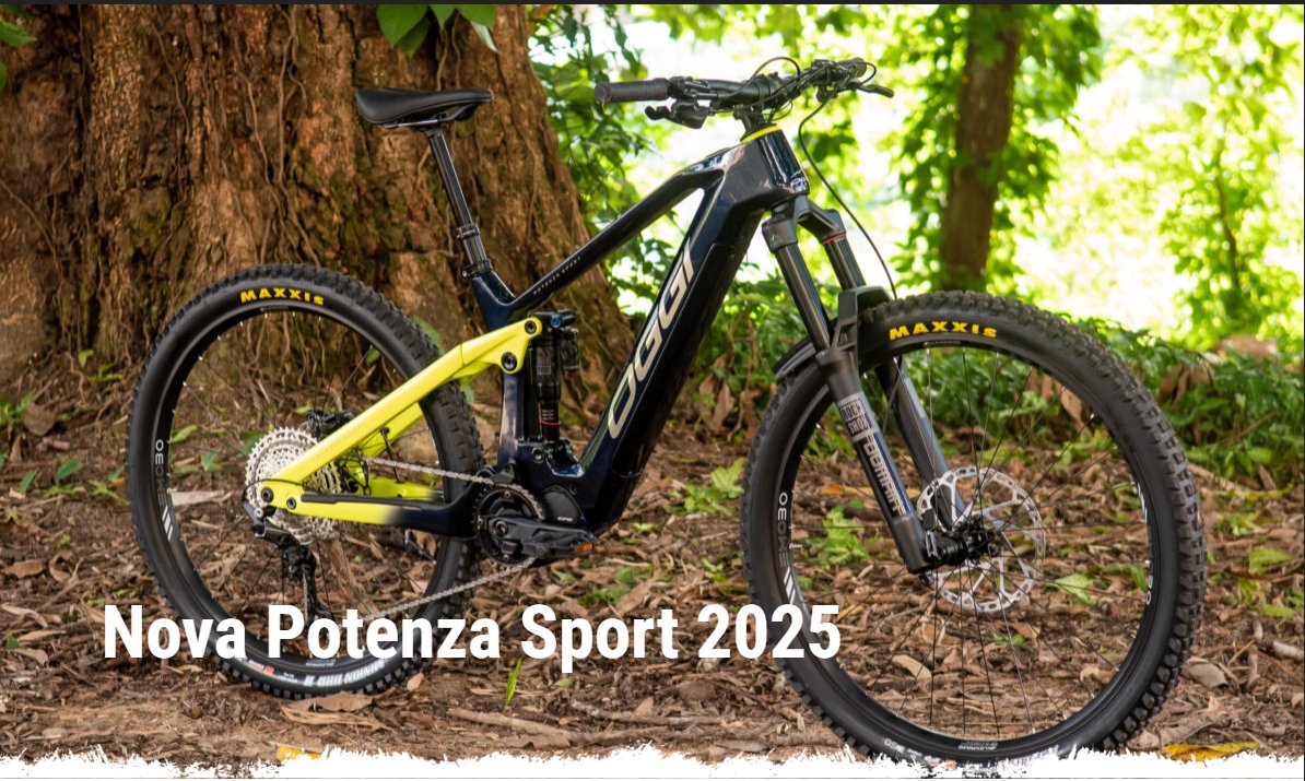 E-BIKE